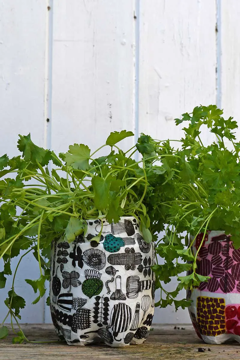 Marimekko herb garden