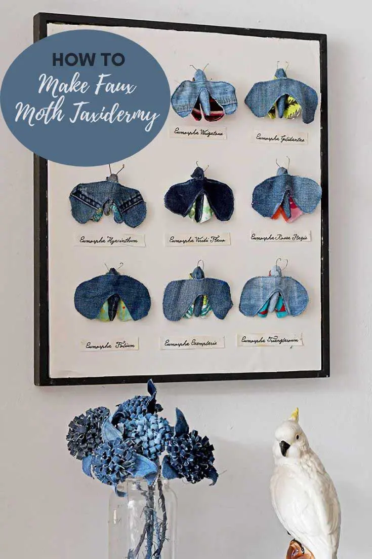 Framed faux moths insect display