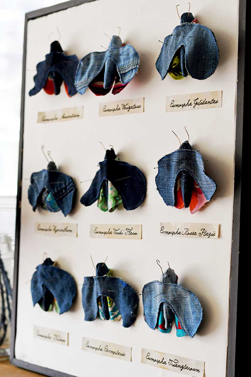 upcycled denim moth taxidermy