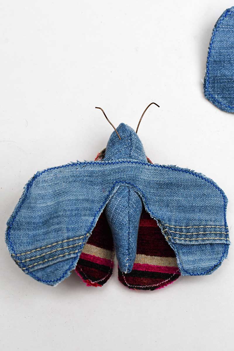 Faux denim scrap fabric moth taxidermy