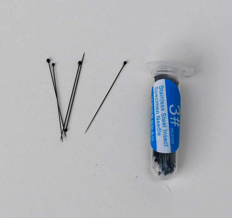 insect mounting pins