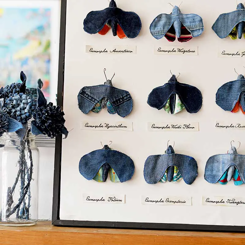 Framed faux moth specimen display