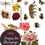 Free nature decoupage images