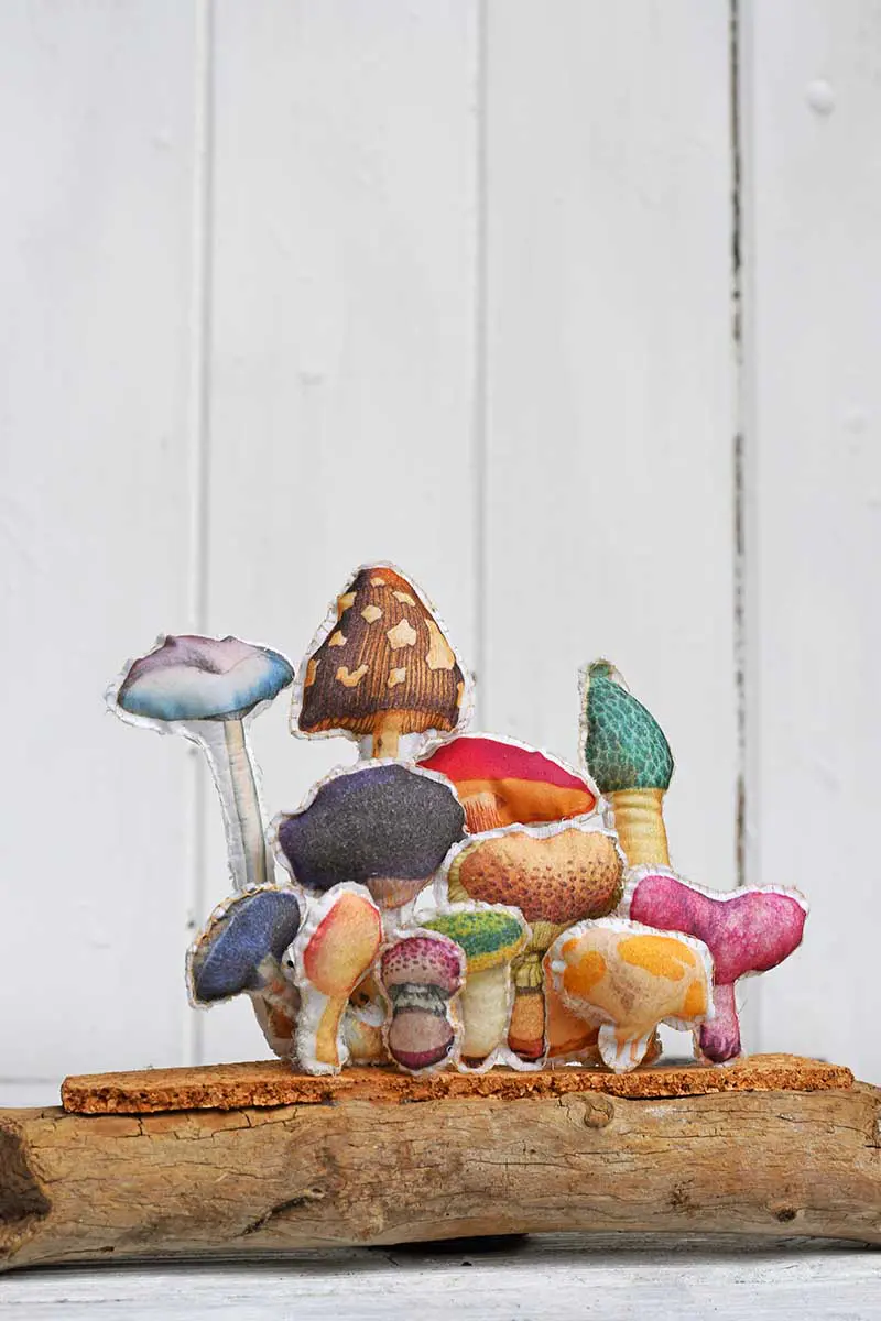 upcycled fabric mushroom art