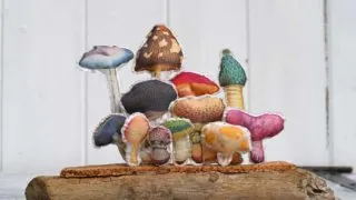 Fabric mushroom display