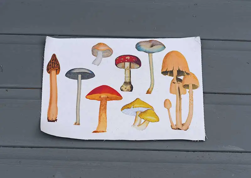 Printed mushrooms