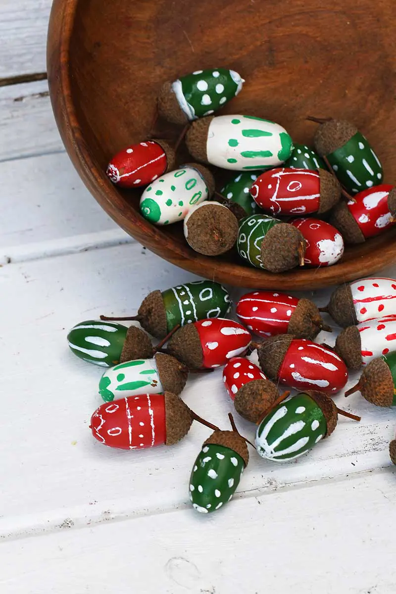 Bowl of painted Christmas acorn decorations