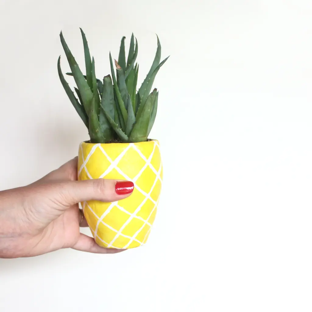 DIY Painted Lemon Bag - Delineate Your Dwelling