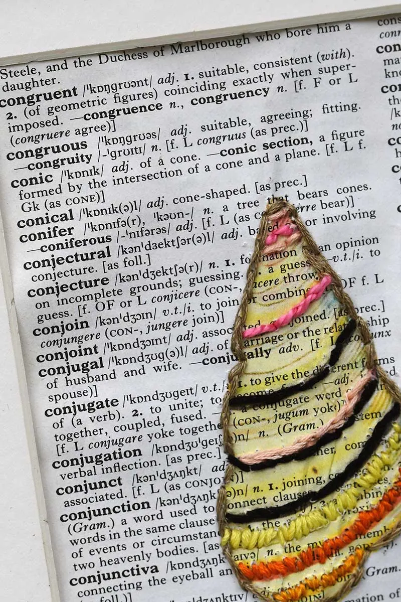 conical shell dictionary art