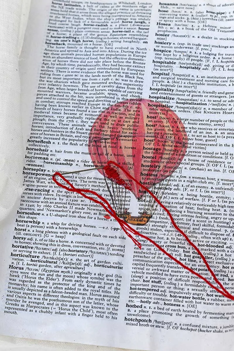 embroidery on paper hot air balloon dictionary art