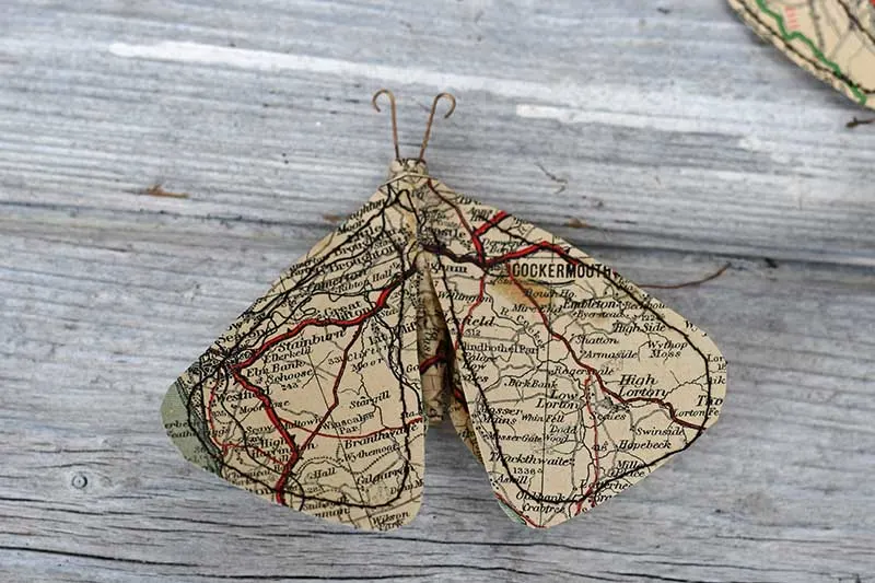 map paper moth
