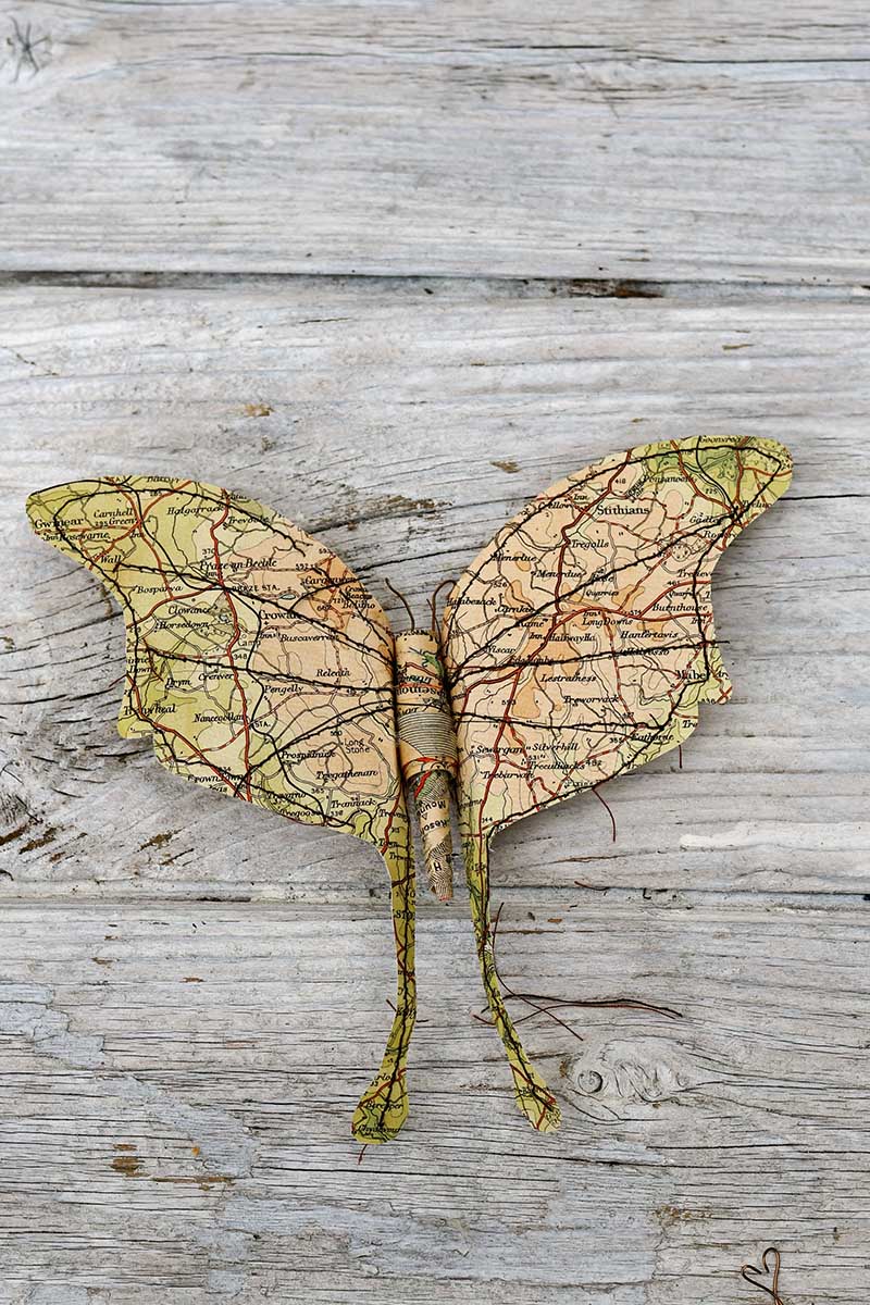 Large wing moth