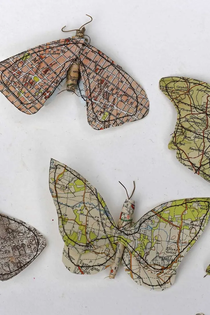 Map paper moths