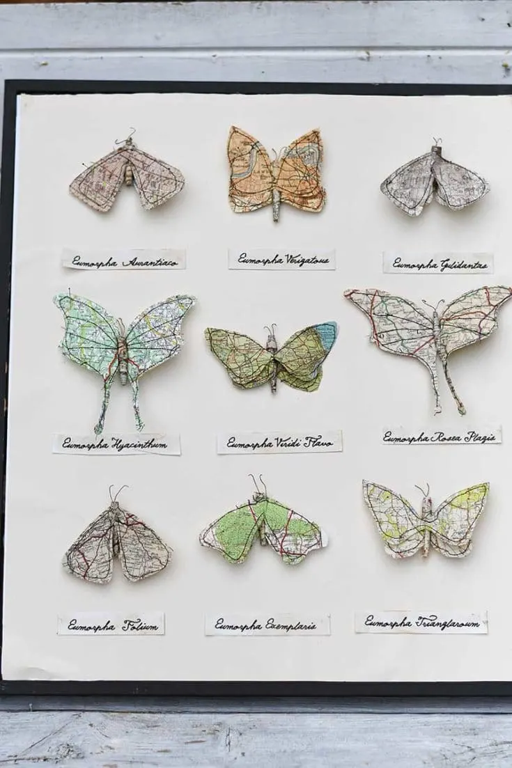 framed-map-paper-moths 