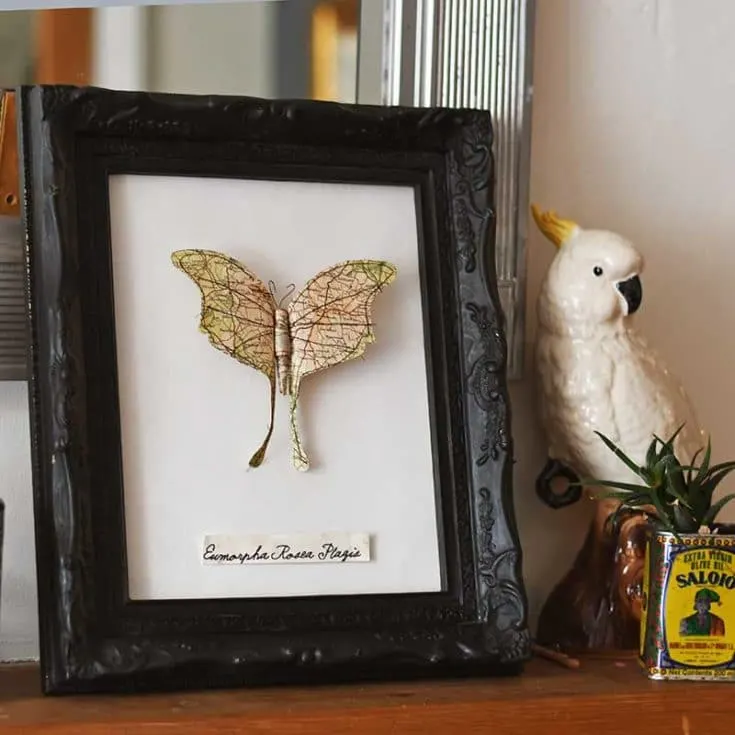 framed map paper moth