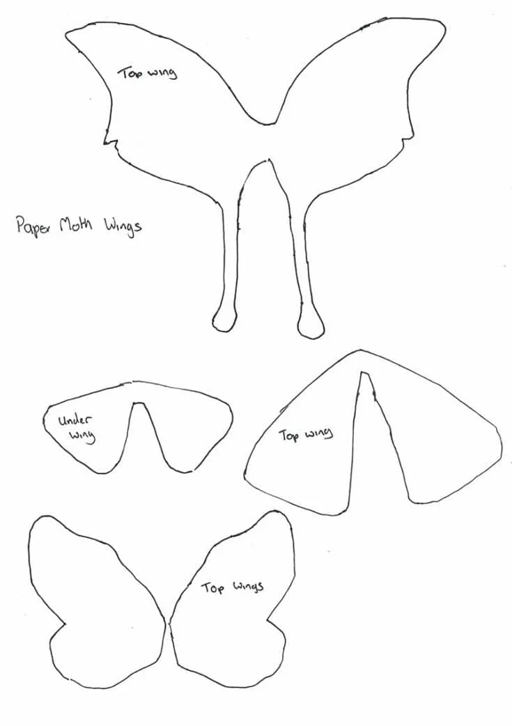 paper-moth-wing-template
