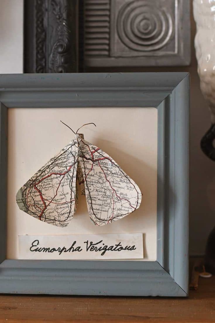 DIY Faux Victorian Inspired Butterfly Taxidermy crafted from paper