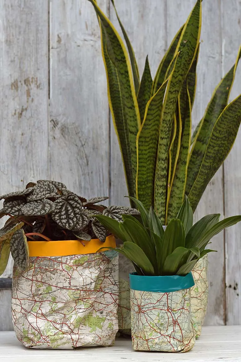 Easy DIY Paper Plant Pot Covers - With Old Maps - Pillar Box Blue