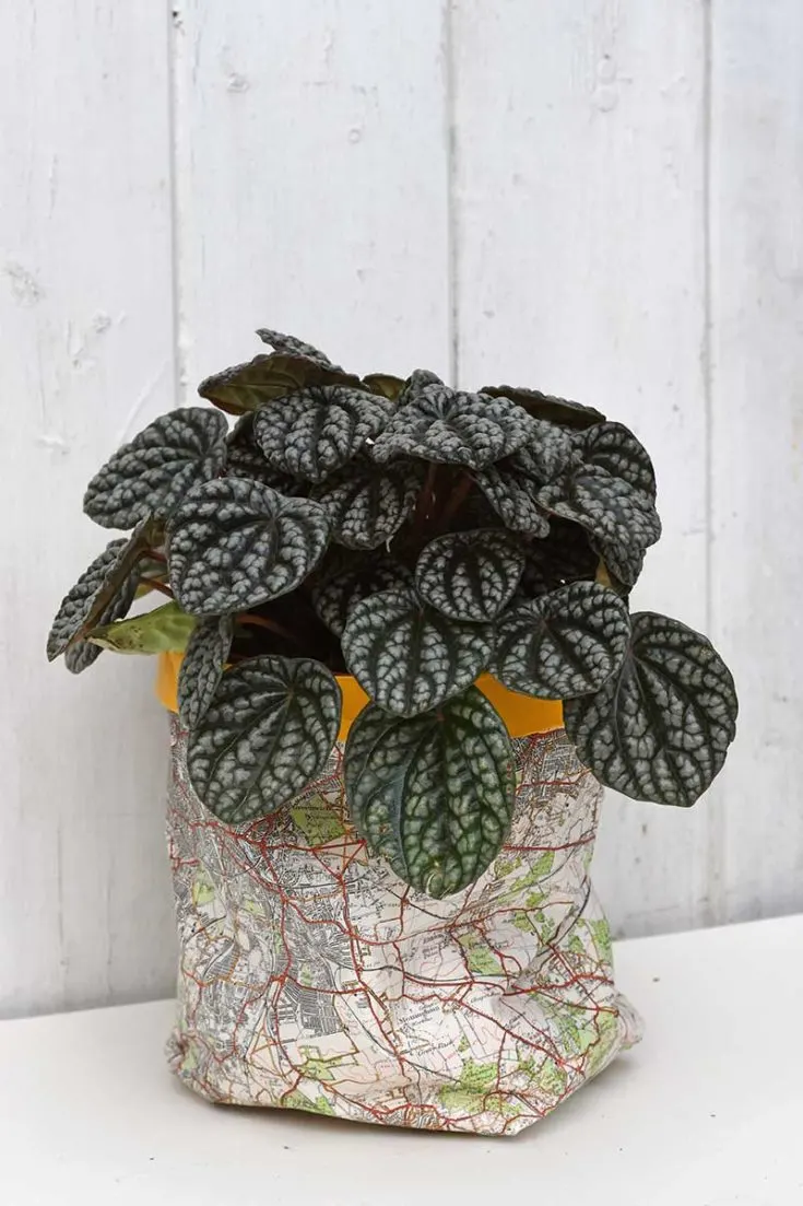 DIY plant pot cover from maps
