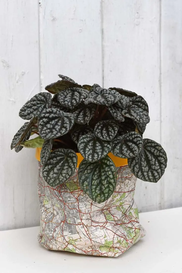 Easy DIY Paper Plant Pot Covers - With Old Maps - Pillar Box Blue