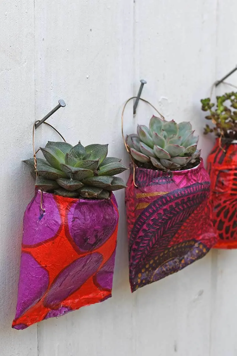 Soda can planters hanging on nails