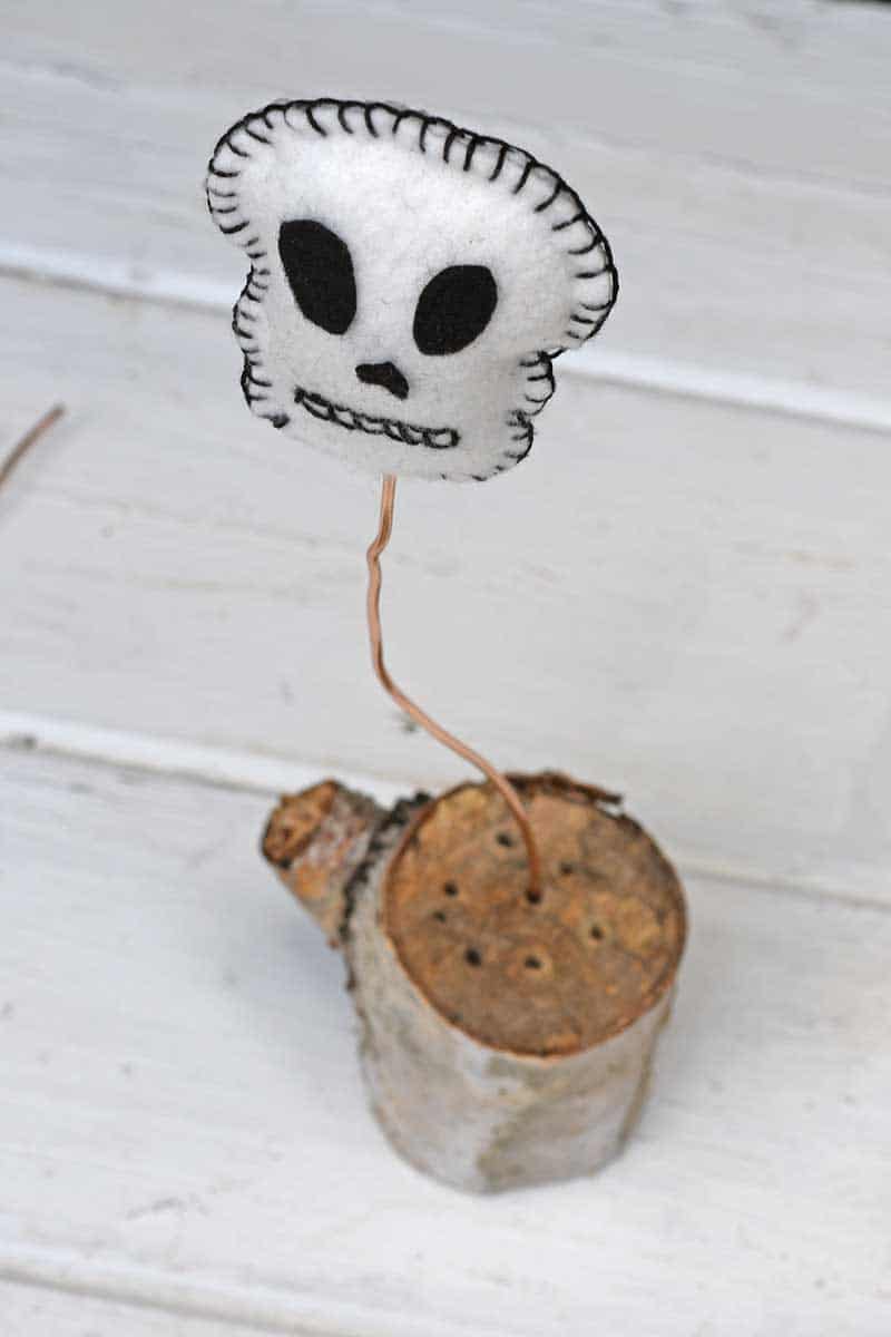 putting skull in stump