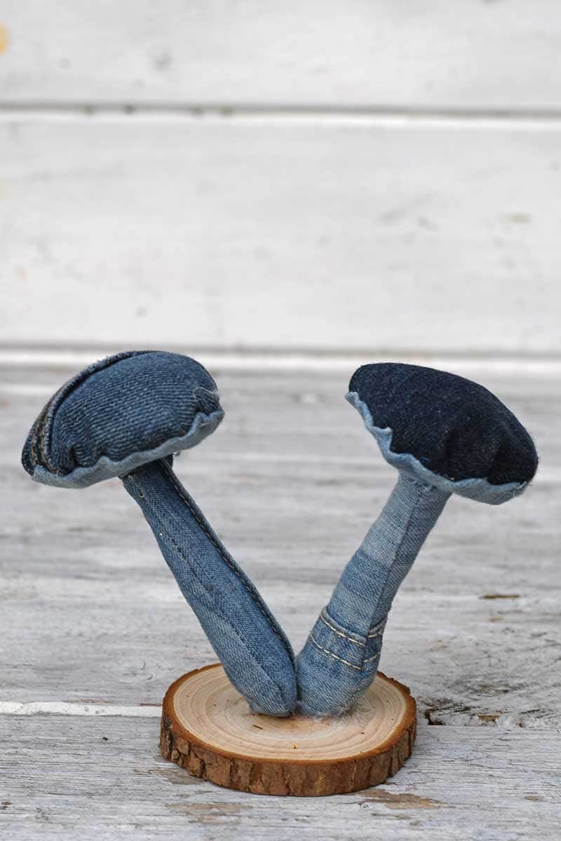 Denim mushrooms