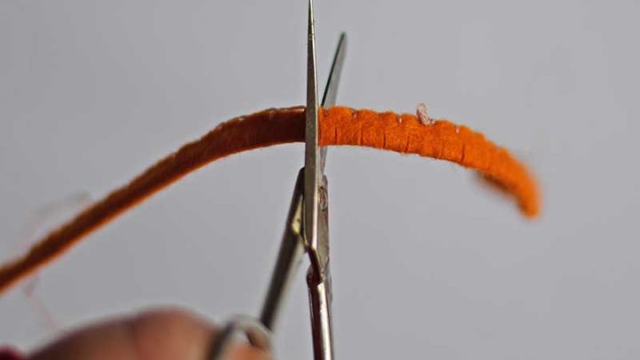 cutting center of flower