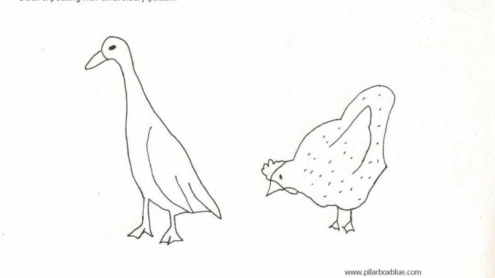 Hen and duck embroidery pattern