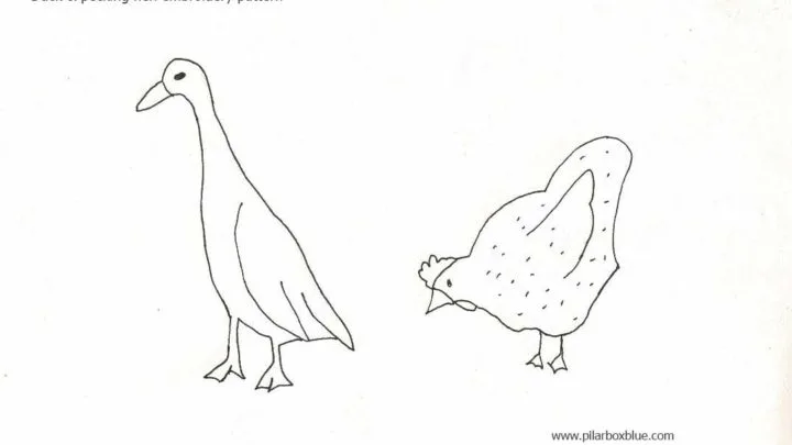 Hen and duck embroidery pattern