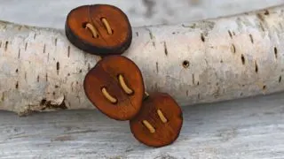 DIY Avocado button bracelet.