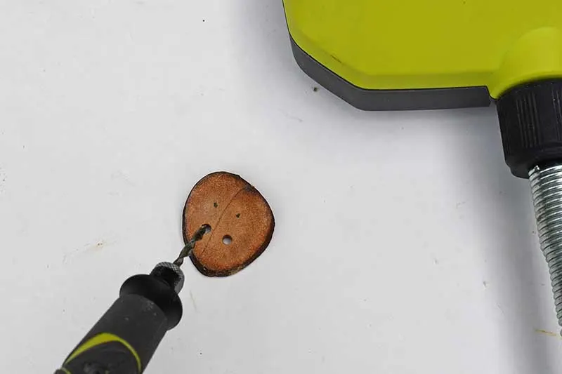 drilling holes in avocado pit