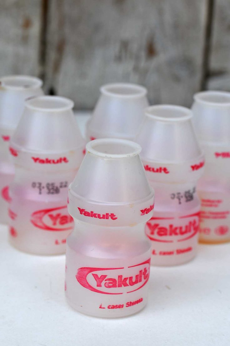 Empty Yakult bottles