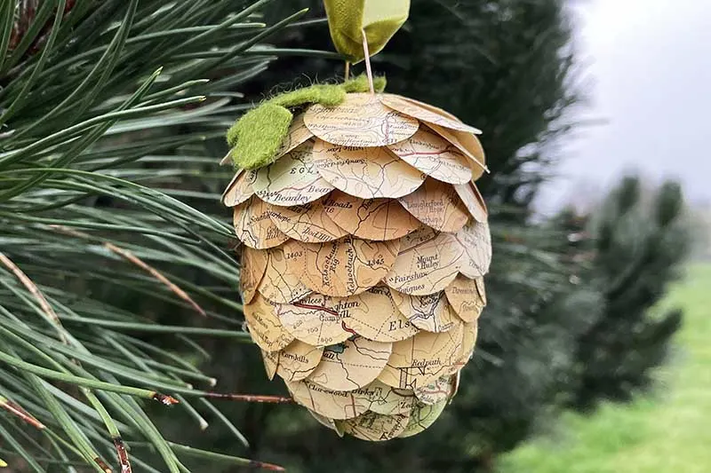 Map paper pine cones