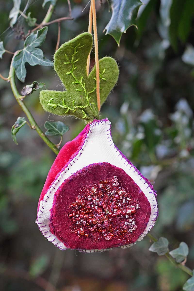 fig ornament in tree