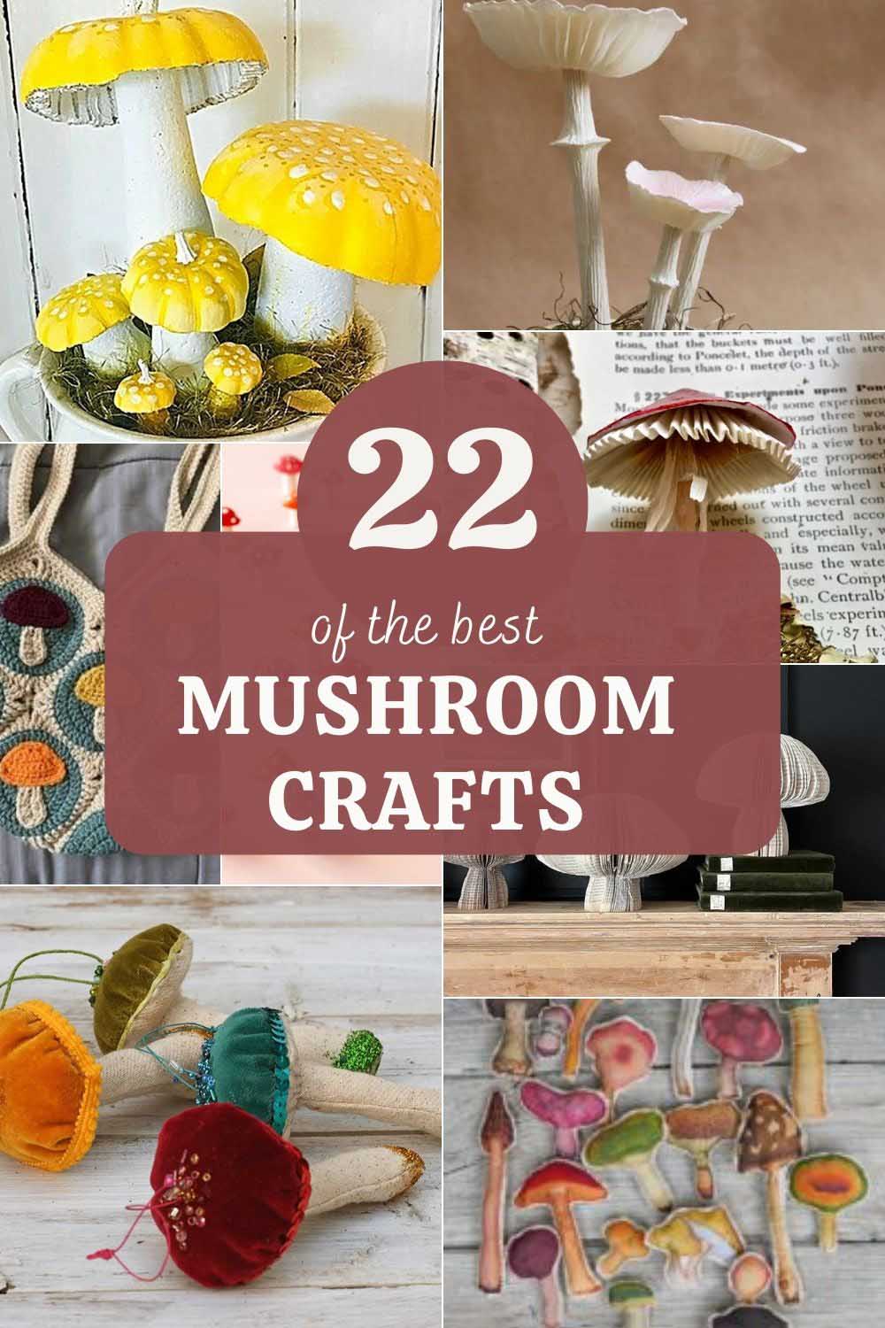 22 mushroom crafts pin