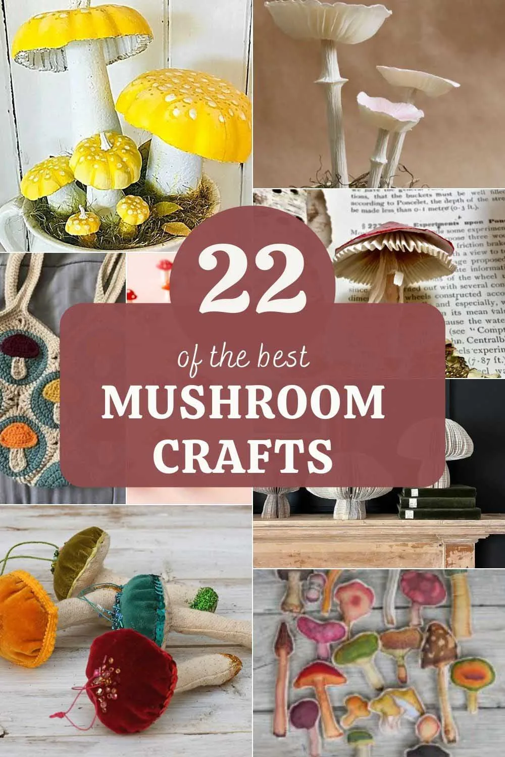22 mushroom crafts pin