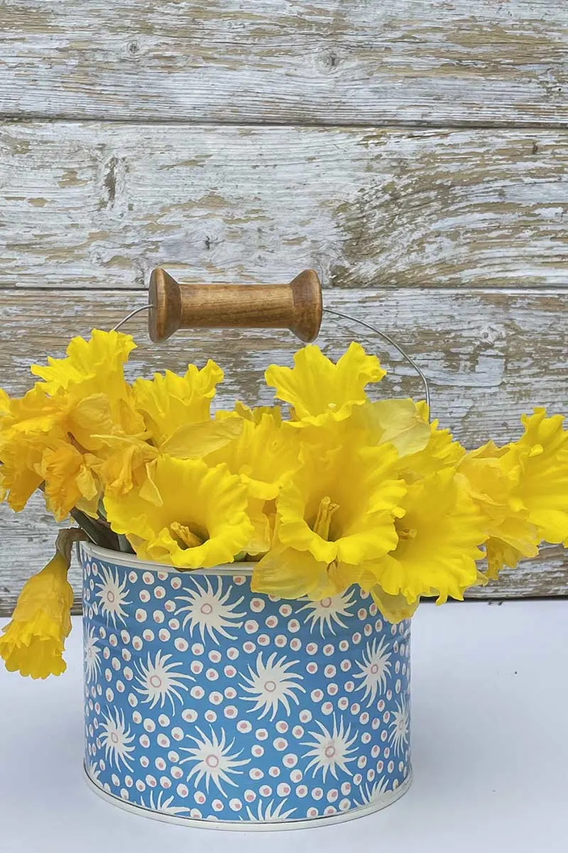 Upcycled tin can spring buckets.