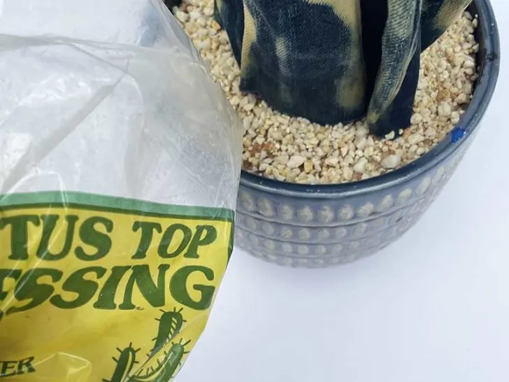 Adding gravel to the faux snake plant