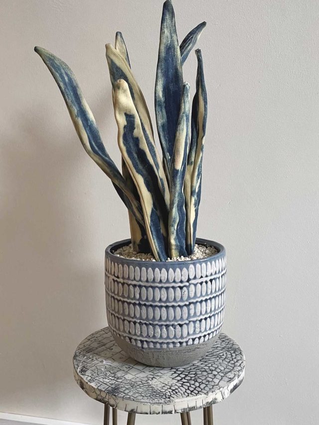 DIY Denim Faux Snake Plant