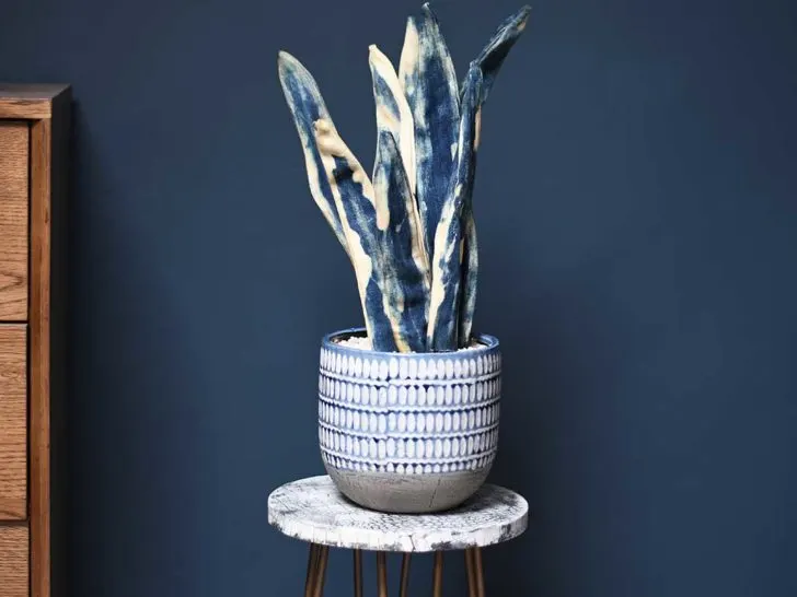 faux Mother in Law's tongue, snake plant made out of old jeans