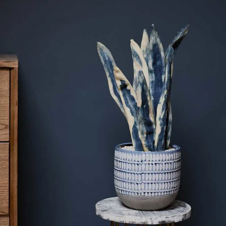 Denim fabric plant Mother in Laws tongue (snake plant)