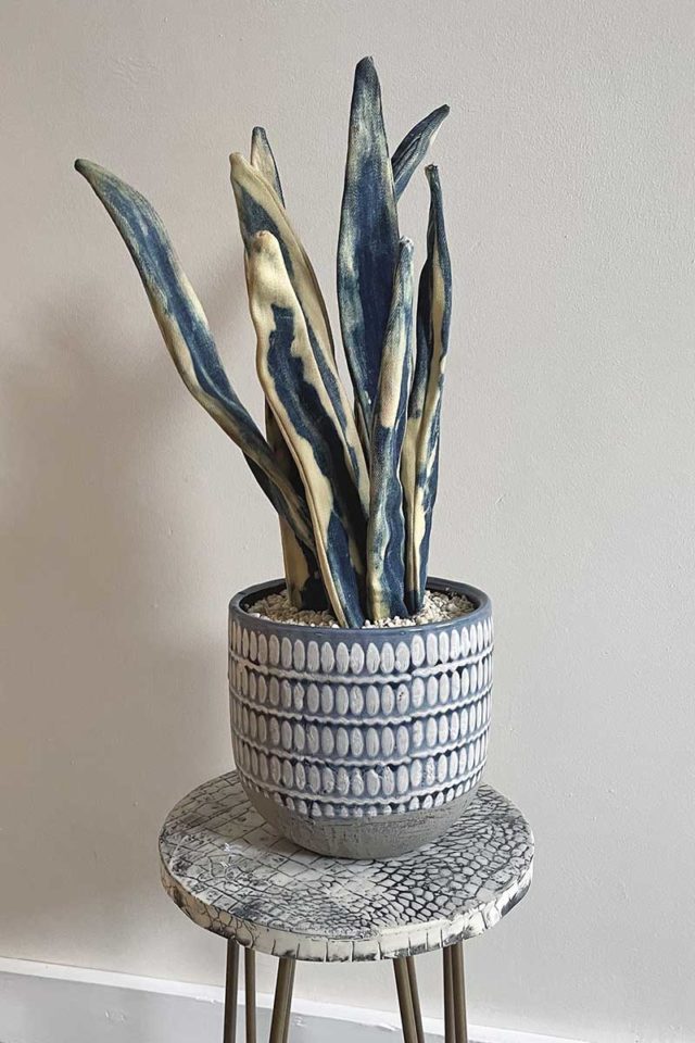 A Fabulous DIY Fake Snake Plant Made From Old Jeans Pillar Box Blue