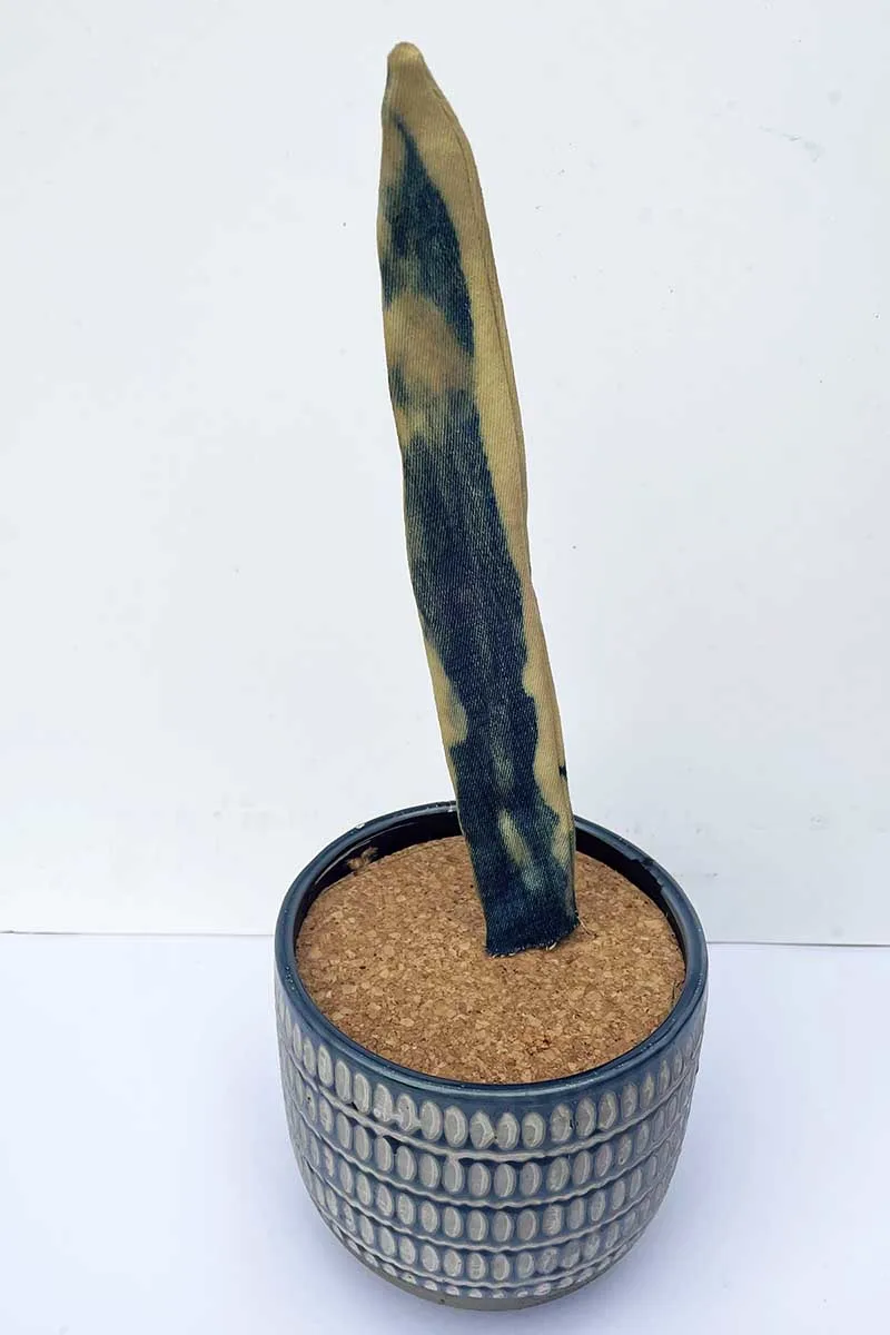 corkboard in plant pot