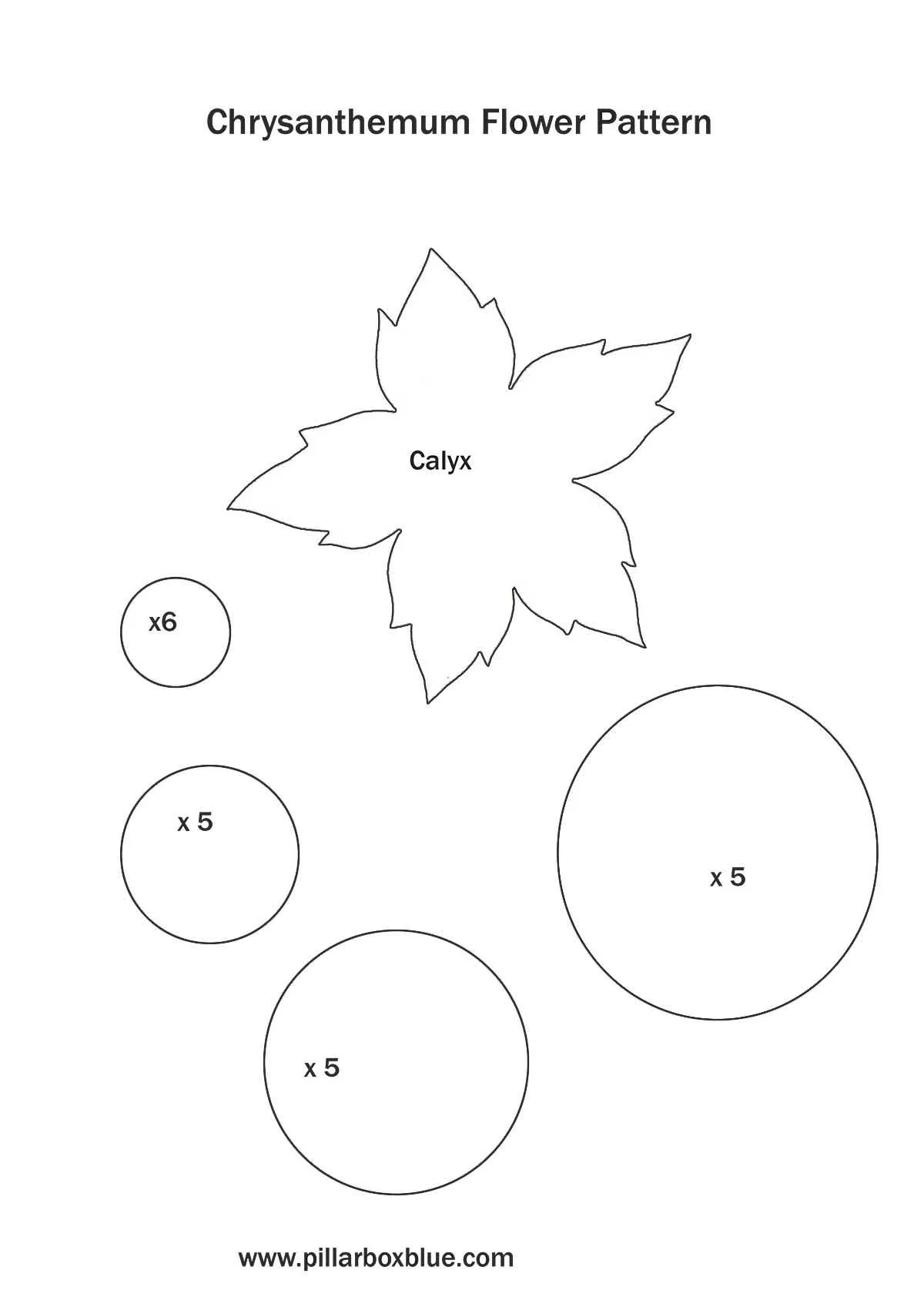 Chrysanthemum flower pattern