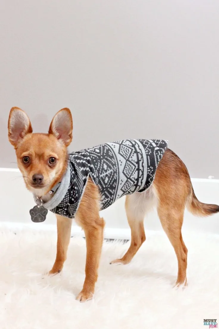 15 DIY Doggy Clothes & Bandanas