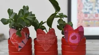 Valentine planters