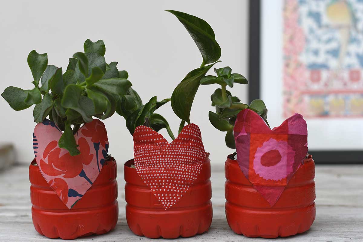 Valentine planters