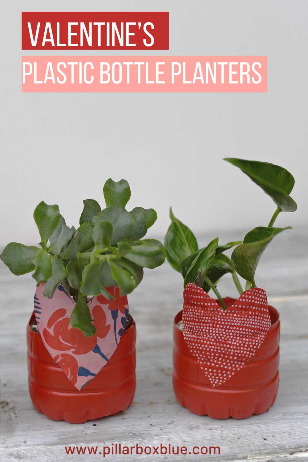 Valentine's day craft plastic bottle planters