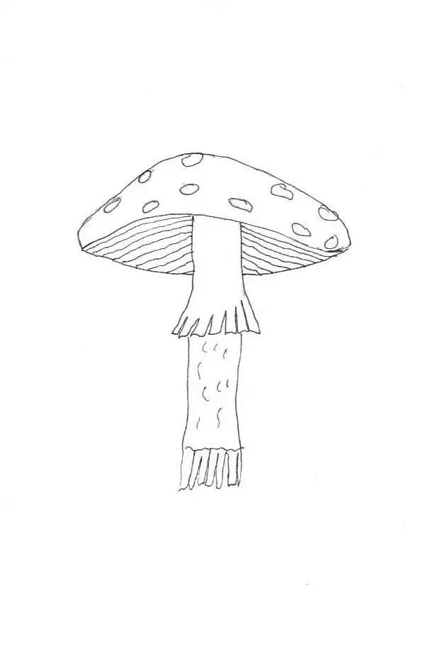 A pen drawing of a fly agaric mushroom used to decorate a paper mache tray.